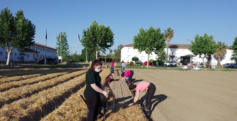 centro de formación rural donbenito