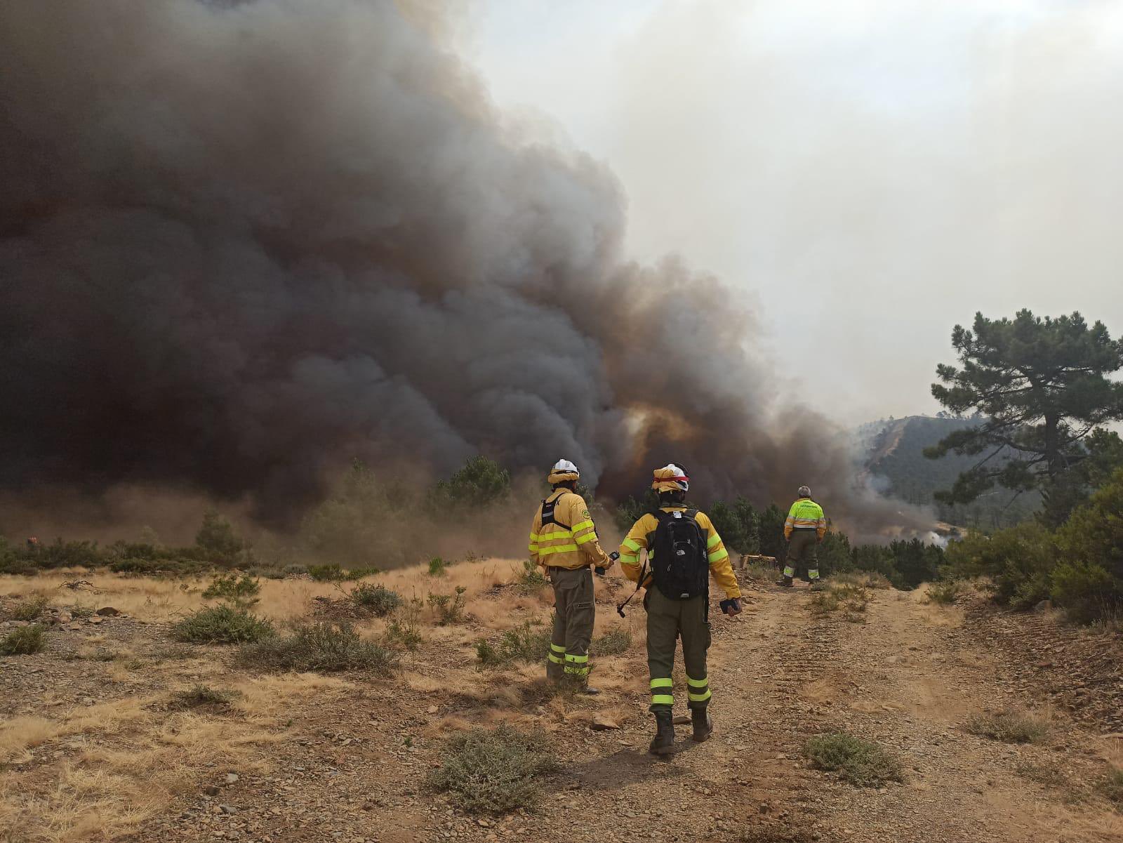 incendio monfrague