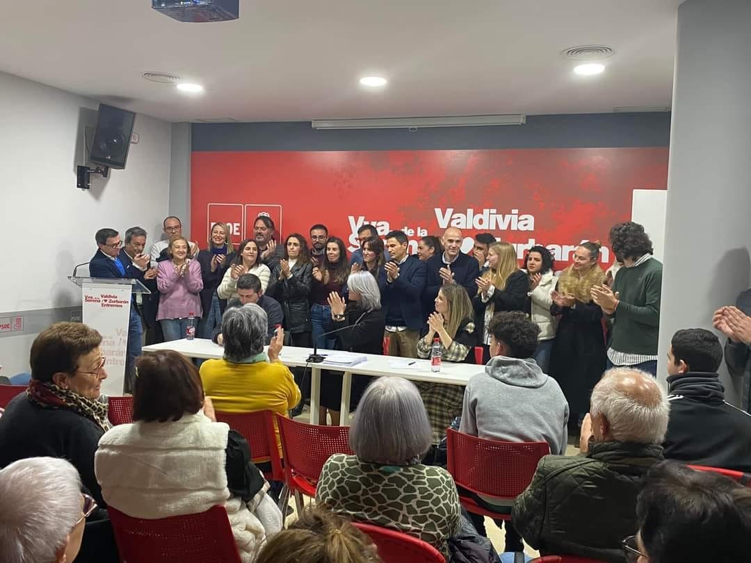 psoe villanueva