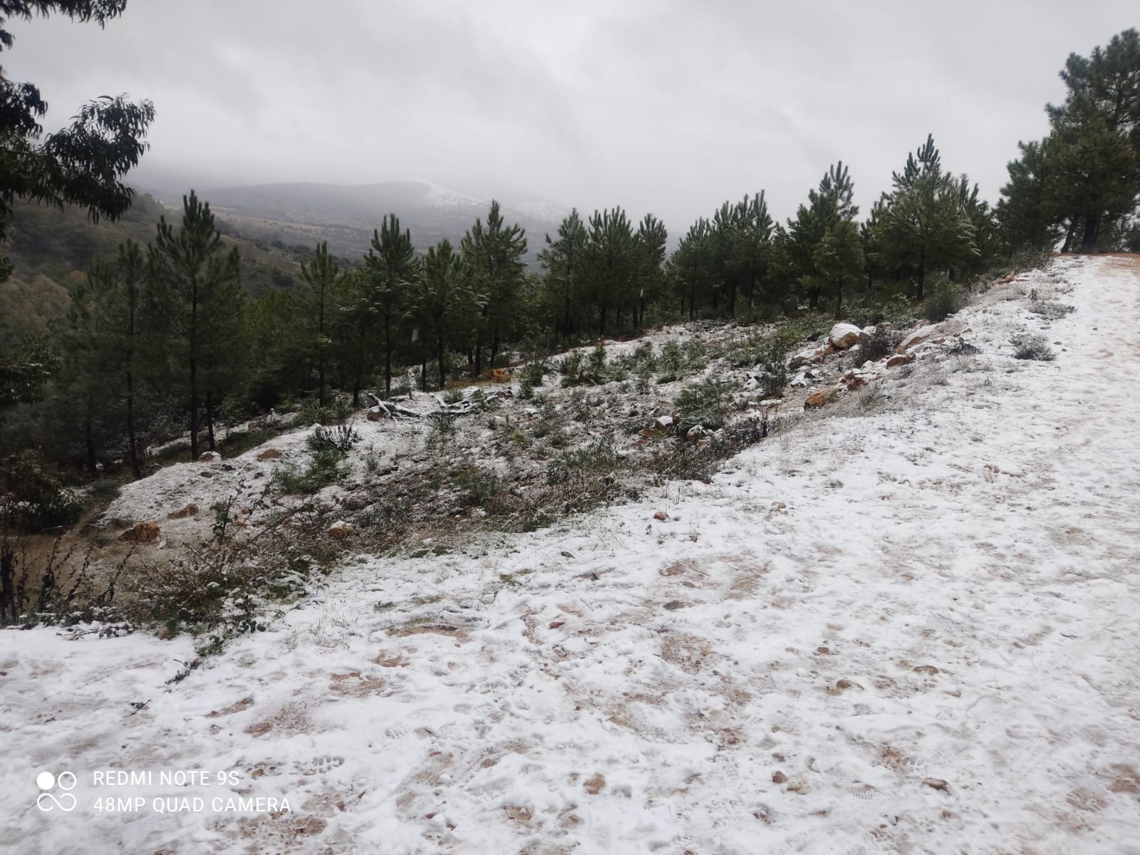 nieveguadalupe