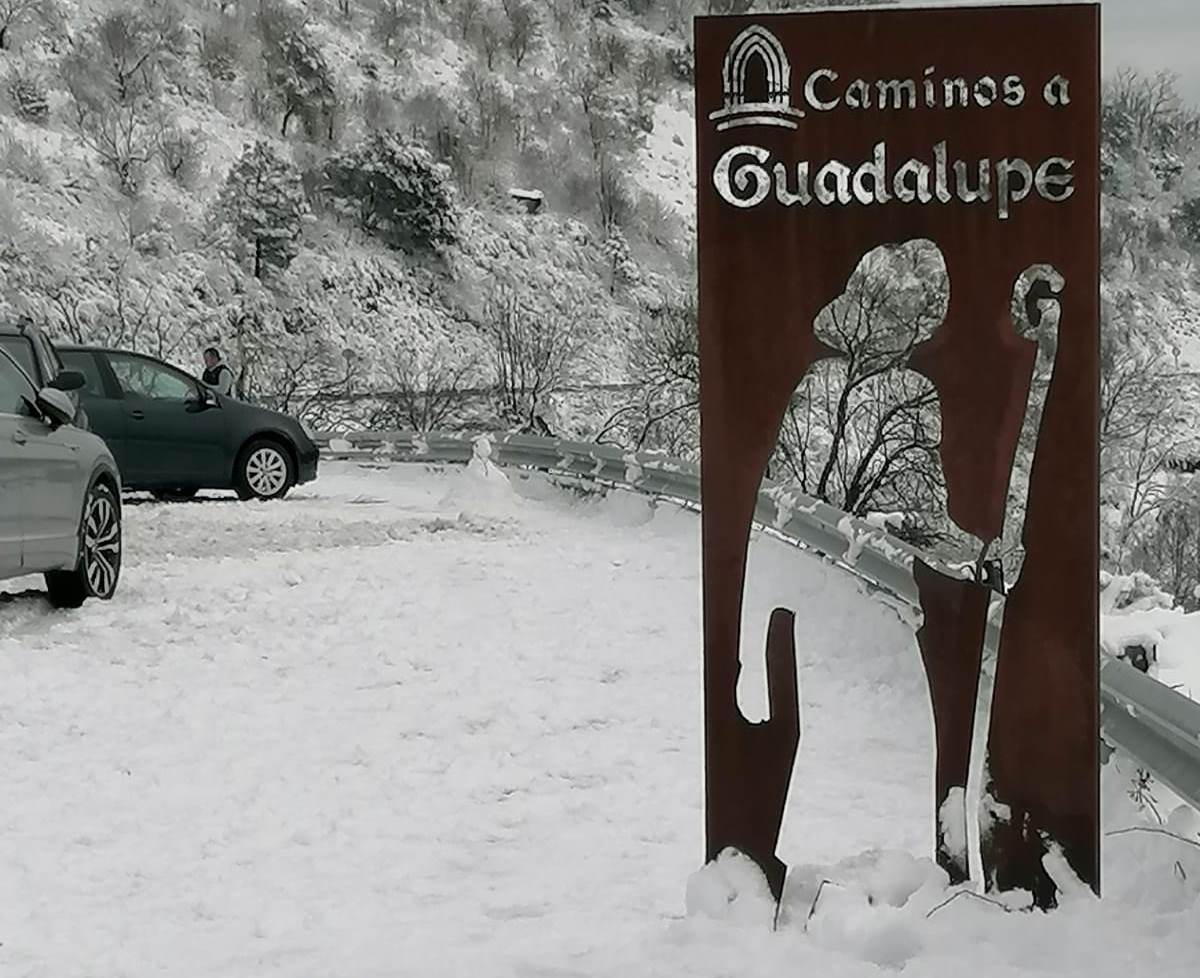 nieveguadalupe2
