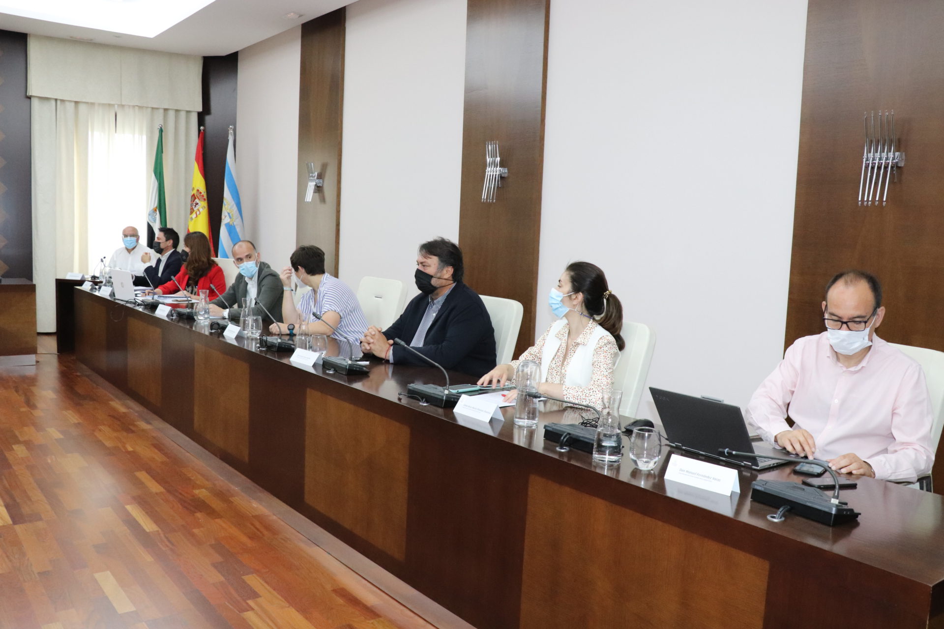 pleno villanueva