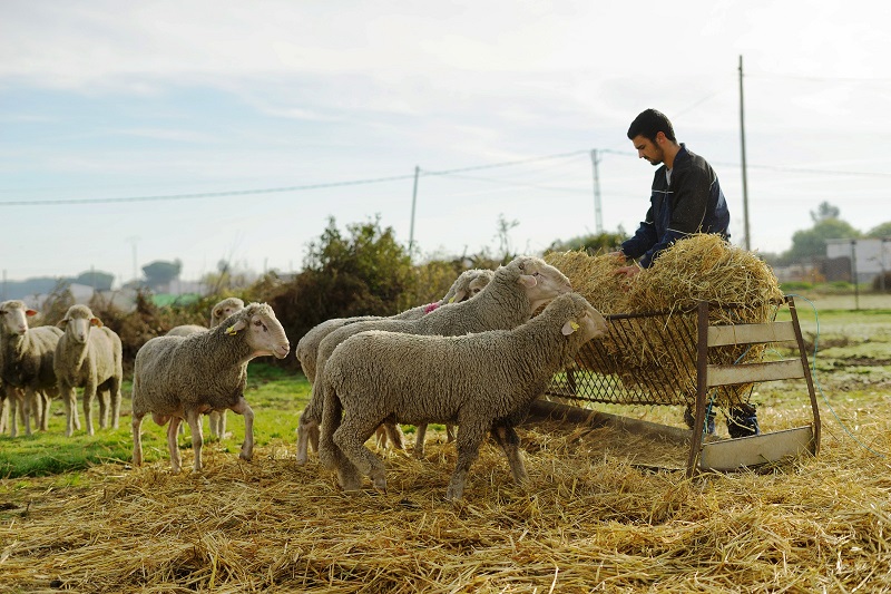 centro formación medio rural don benito