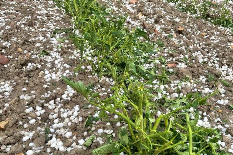 granizo en las vegas altas