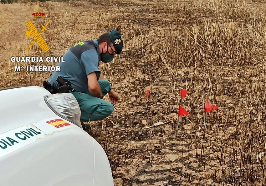incendios forestales investigación