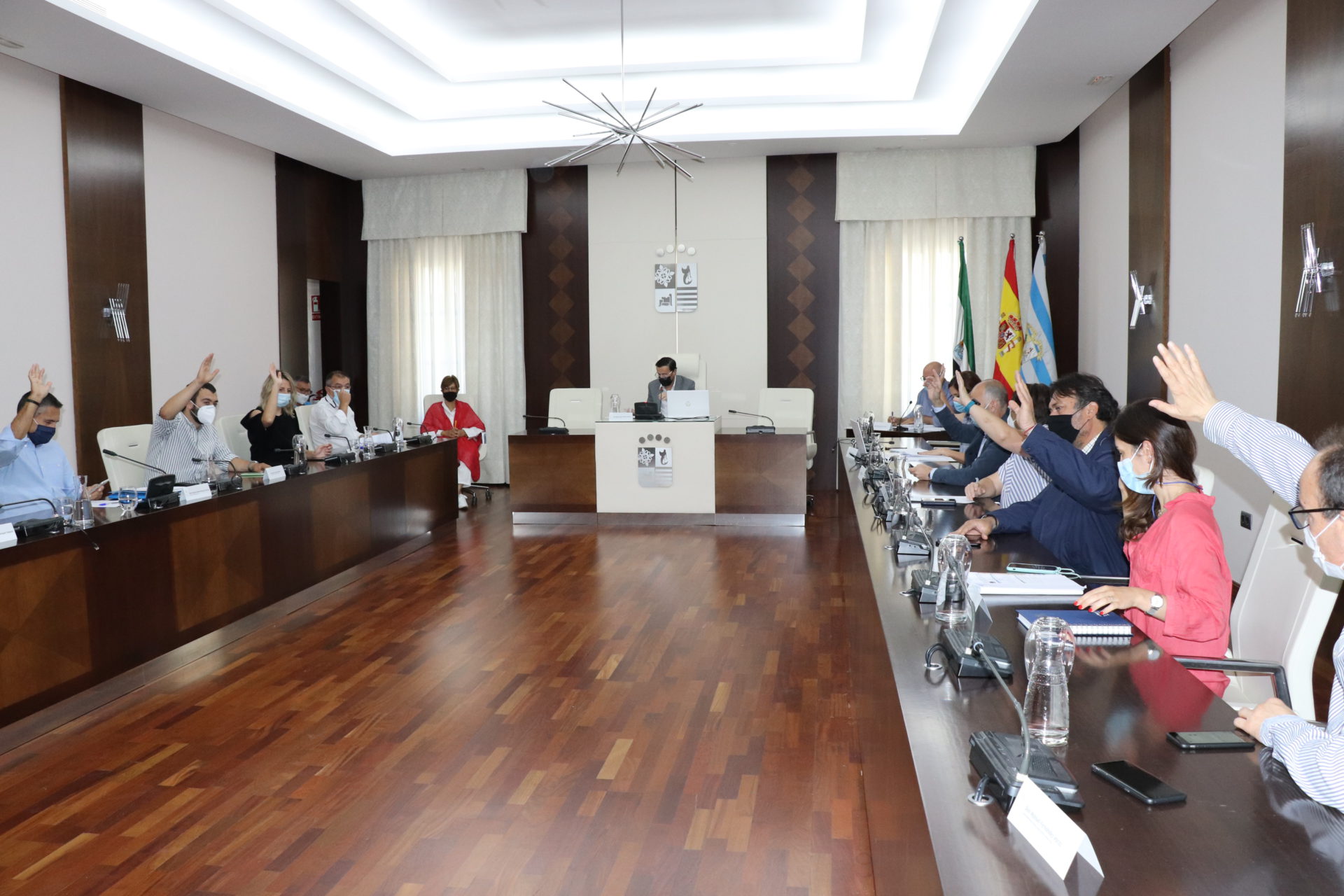 pleno villanueva