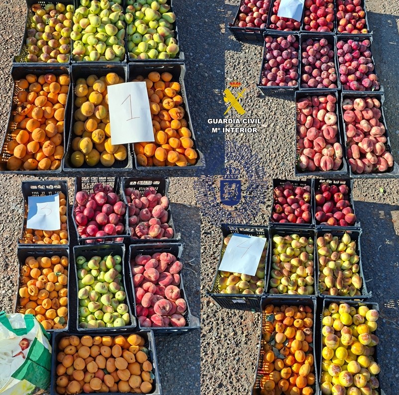 fruta sustraída
