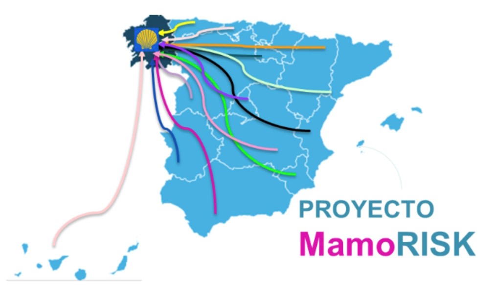 mamorisk