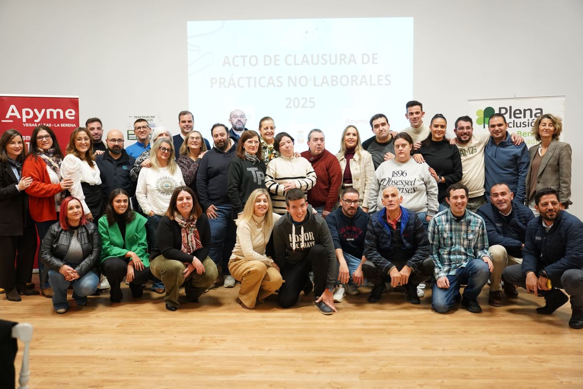 apyme y plena inclusión
