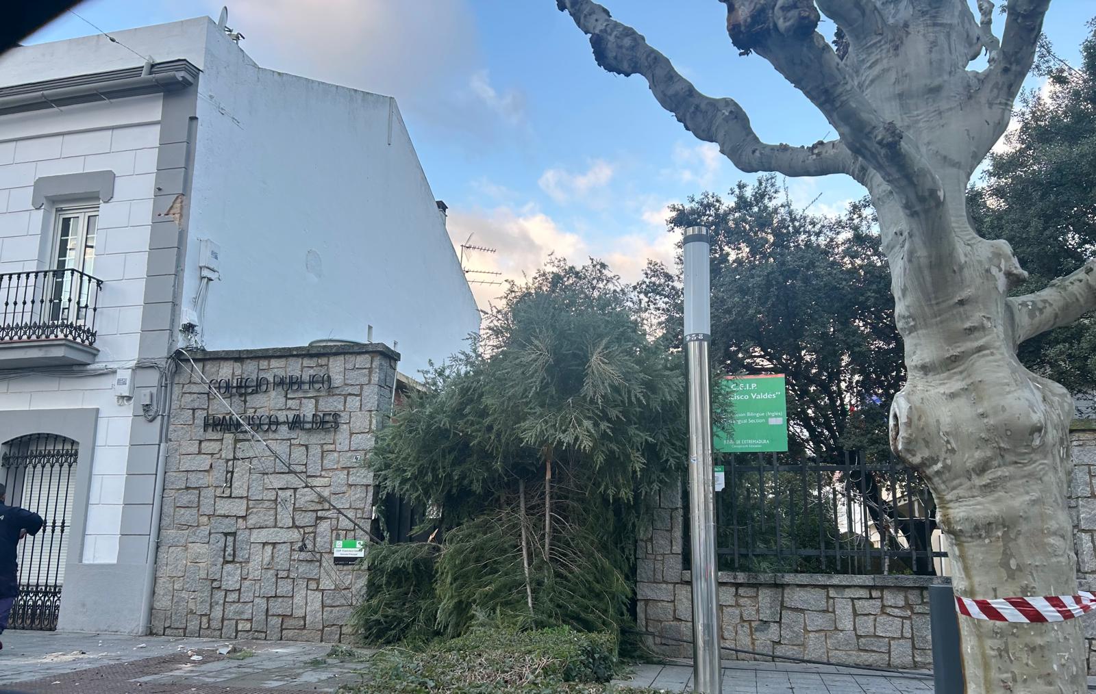 colegio francisco valdés