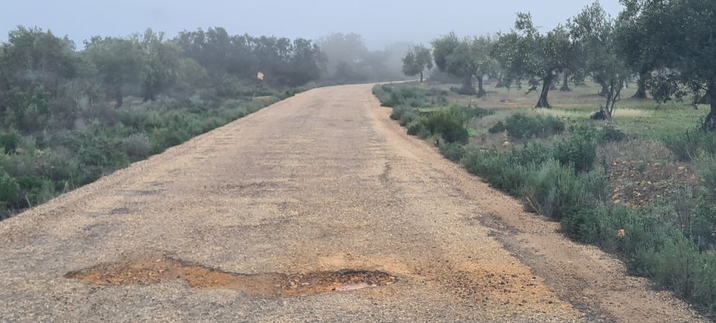 caminos