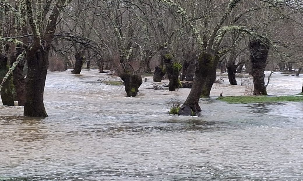 arroyo bullaque