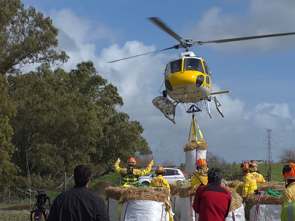 helicoptero