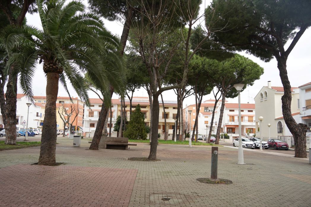 los pinos
