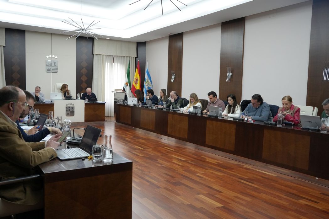 pleno villanueva