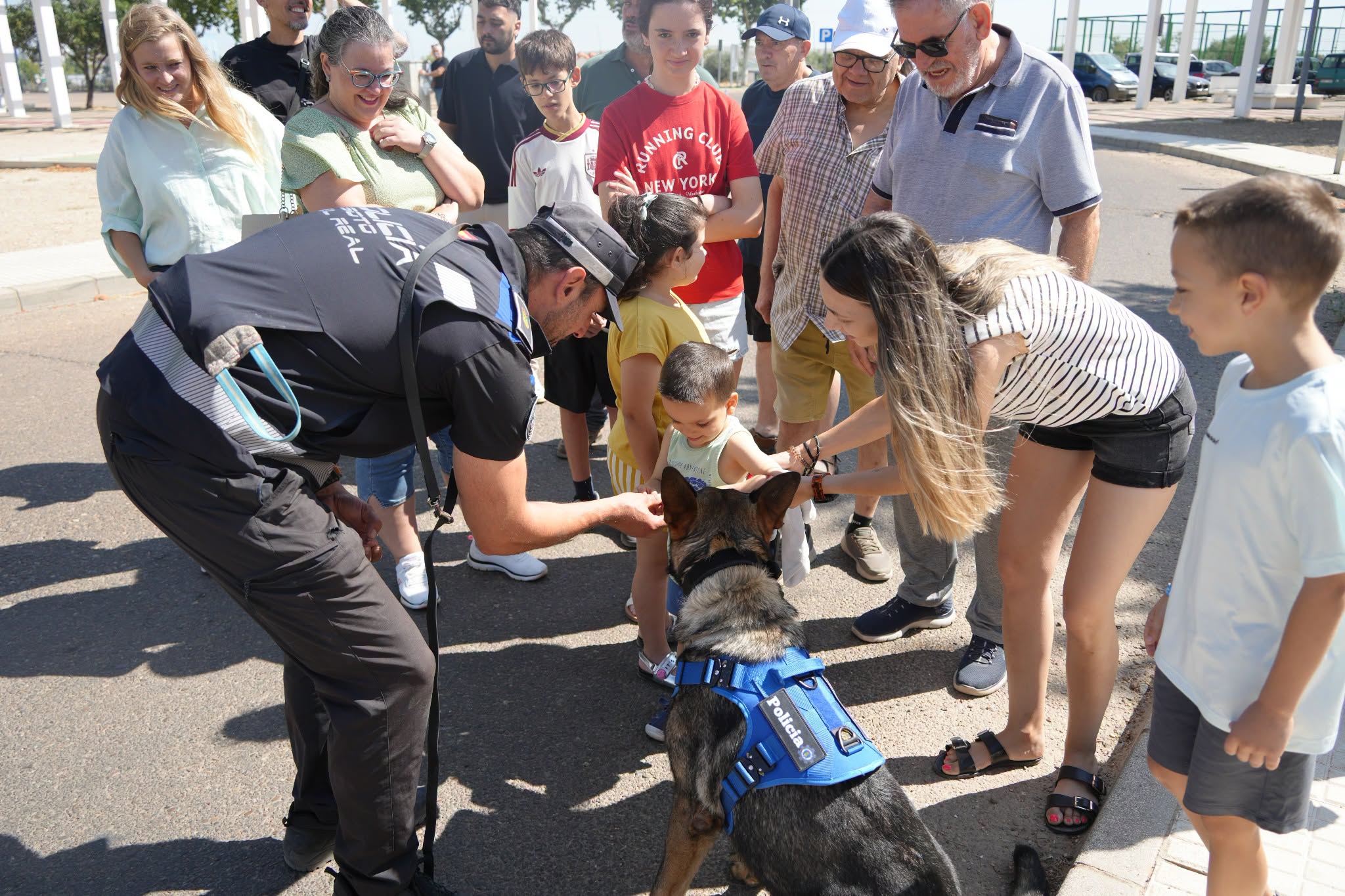 perros en villanueva