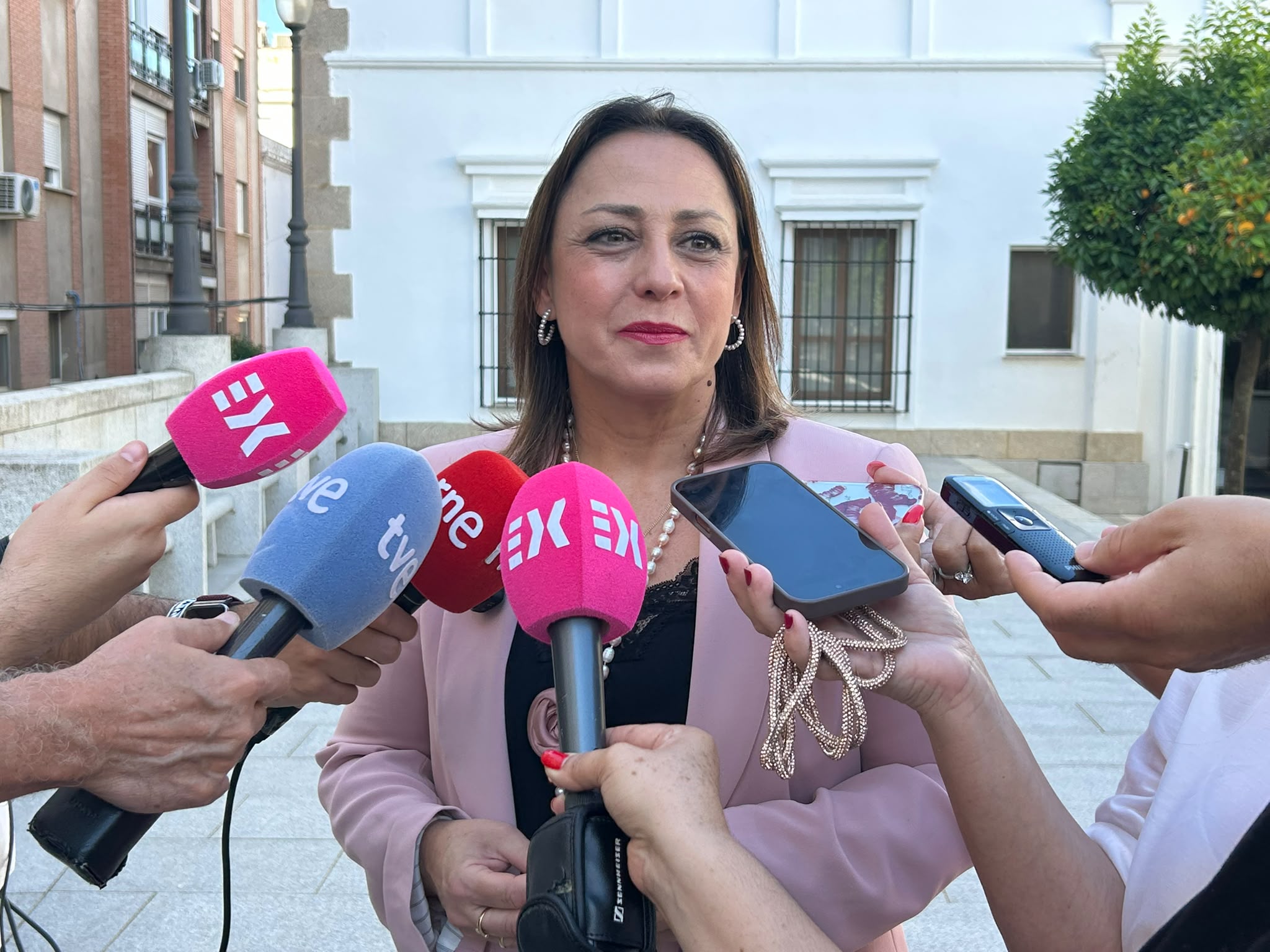 ara sanchez vera