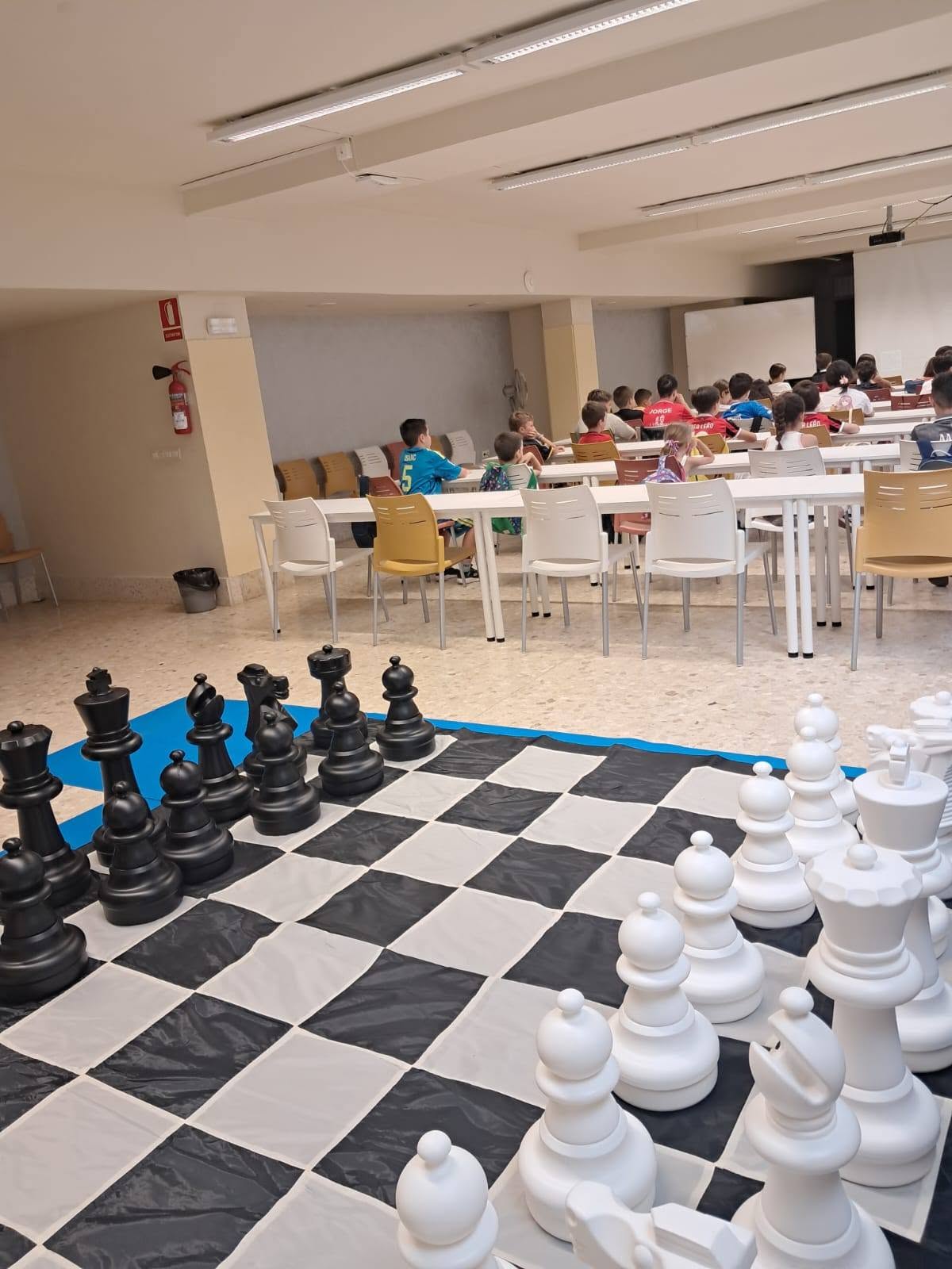 campamento ajedrez