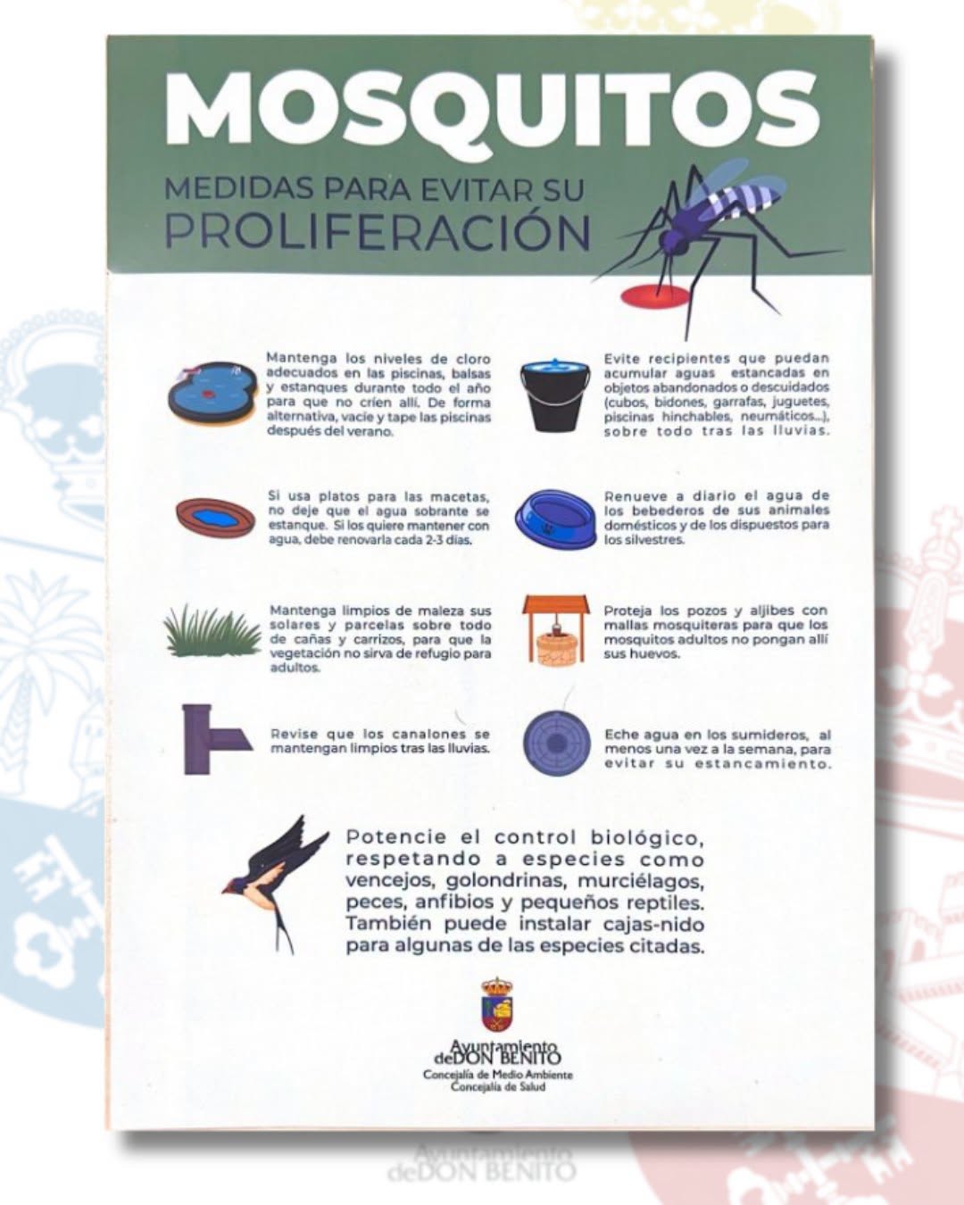 mosquitos campaña