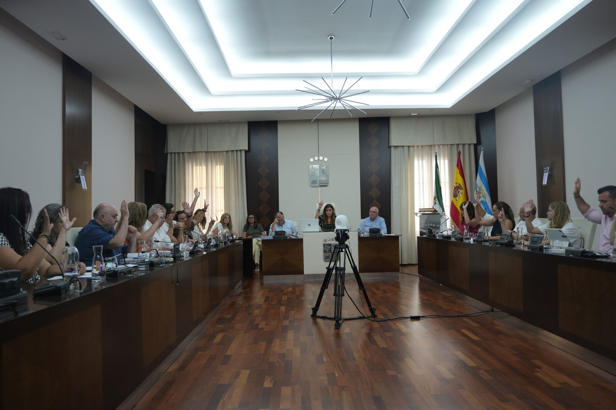 pleno villanueva