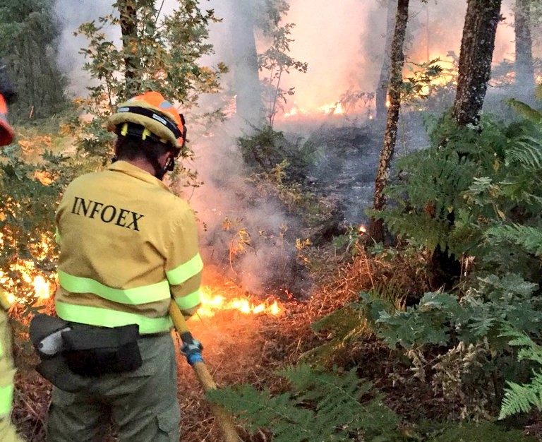bombero forestal