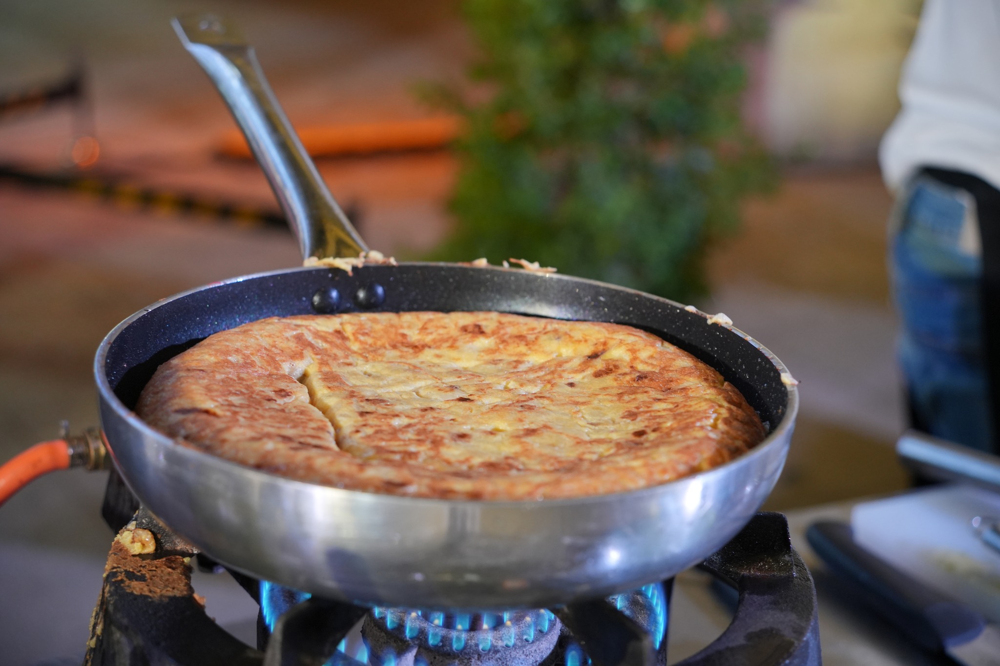 tortilla