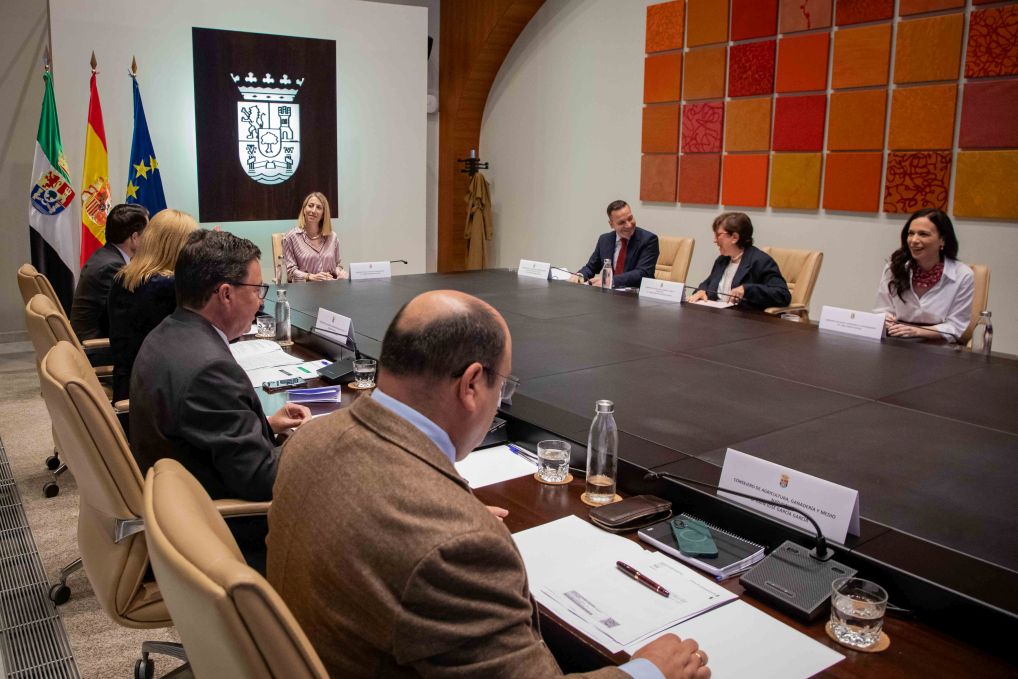 consejo de gobierno