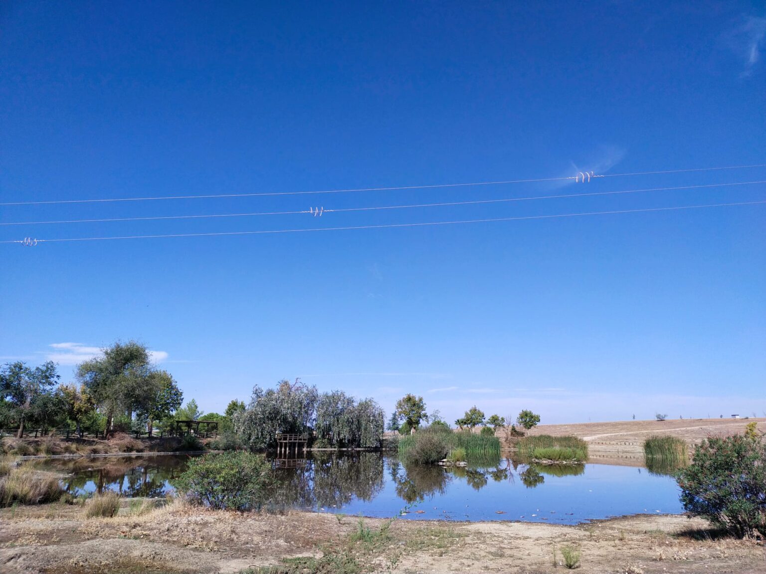 laguna orellana