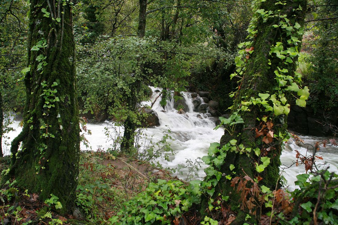 tornavacas