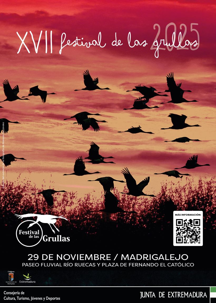 festival grullas