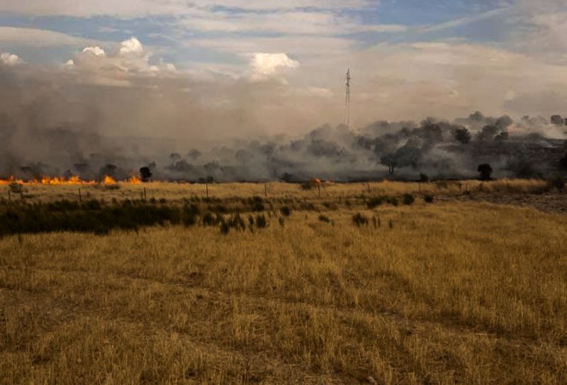 incendio forestal