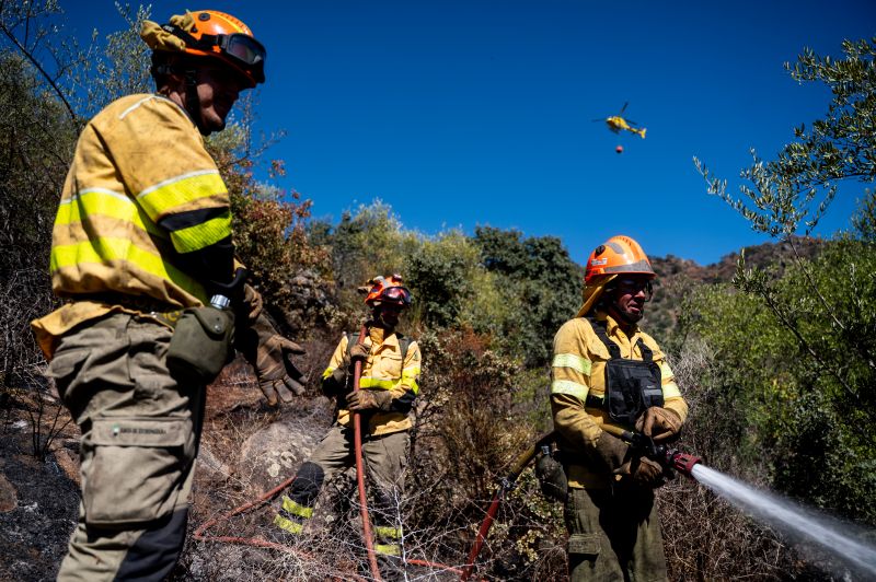 bomberos forestales