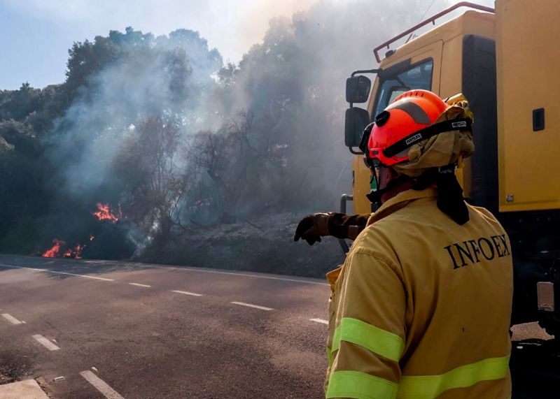 incendio forestal