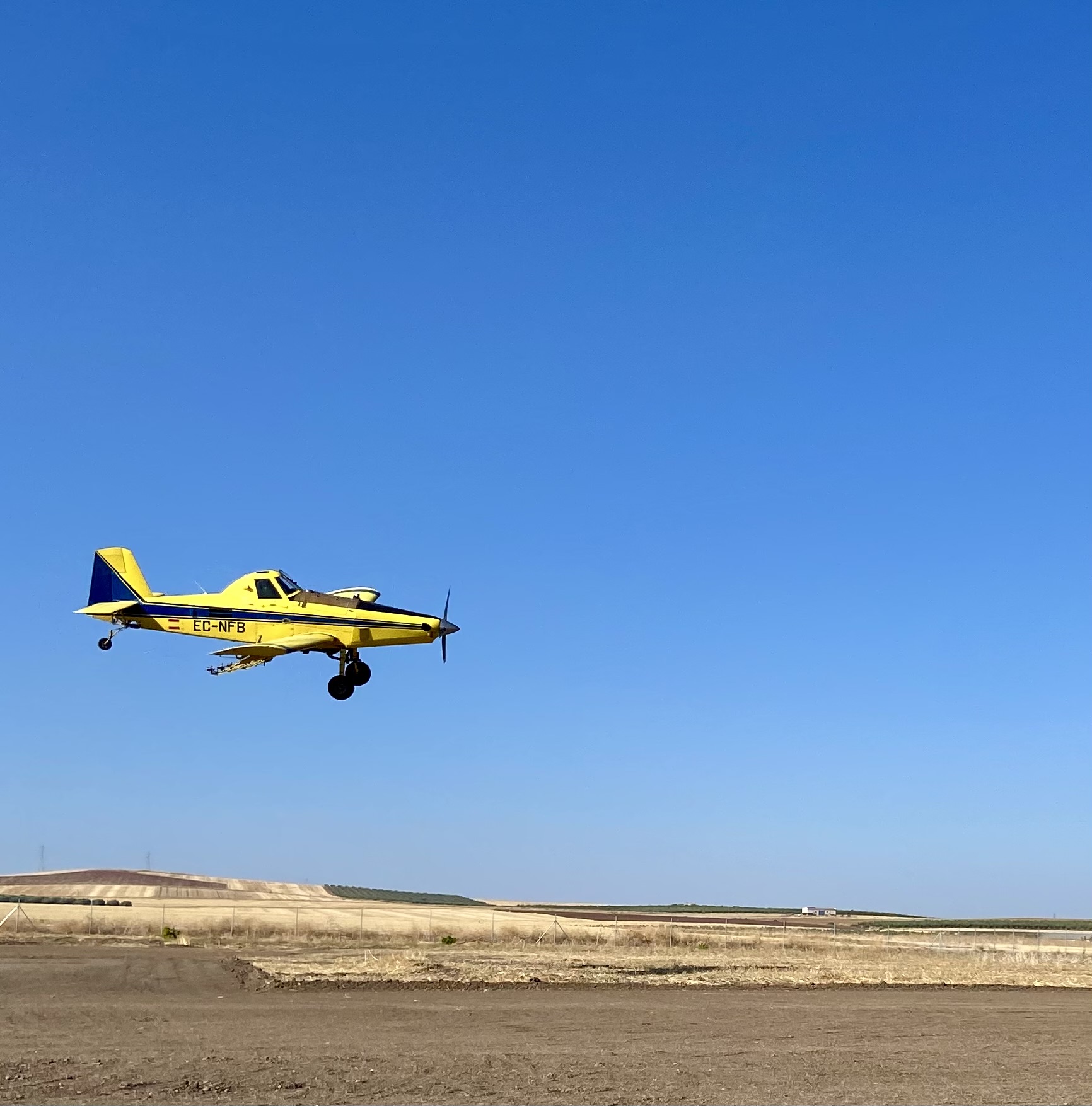 avioneta arroz