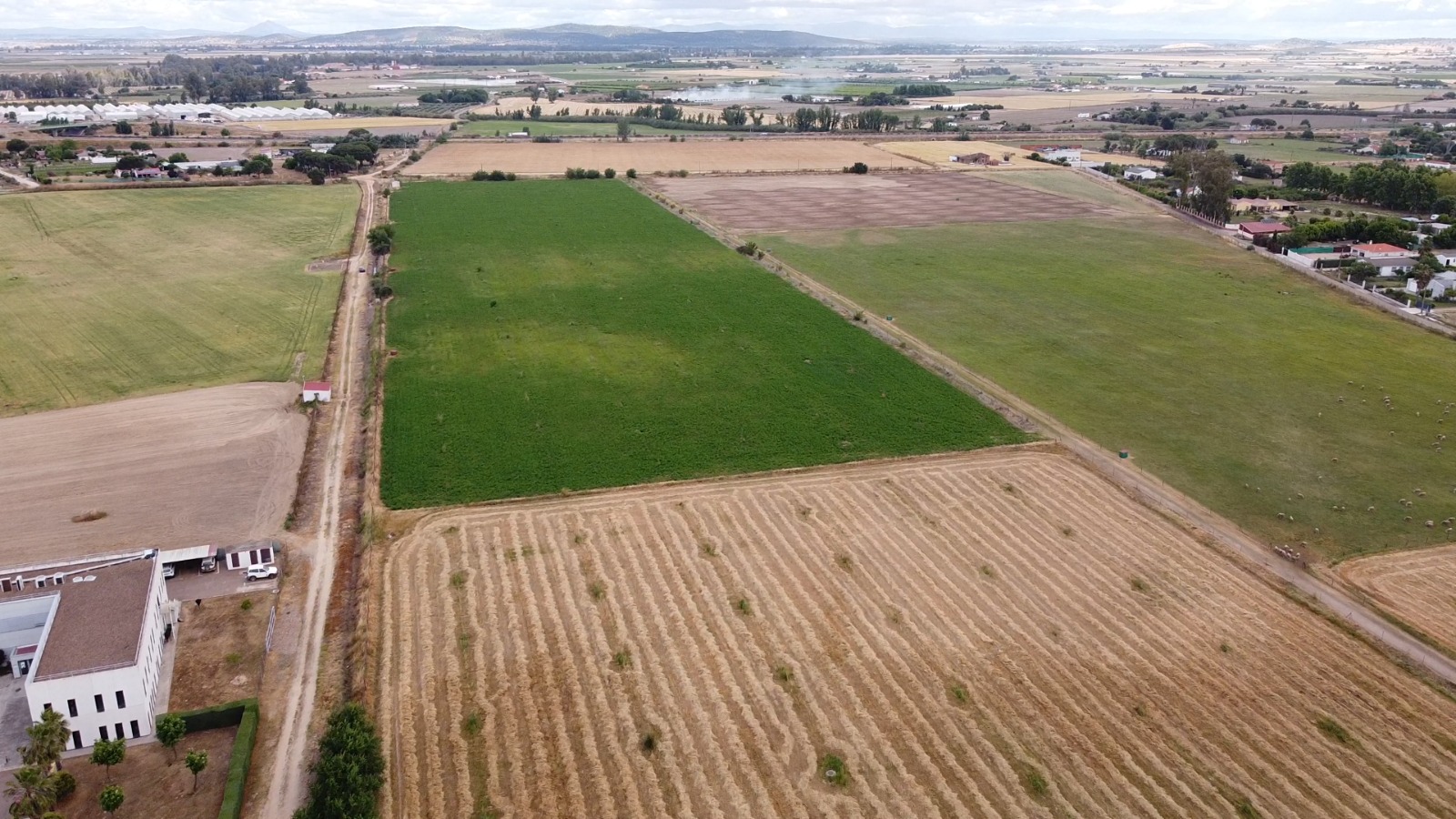 campo