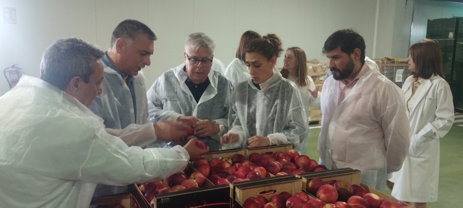 fruta escobar 1