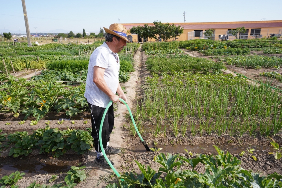 huertos en granga educativa
