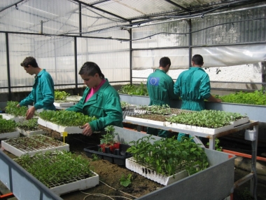 centro de formación del medio rural de Don Benito