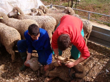 centro de formación del medio rural de Moraleja
