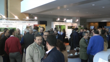 congreso del arroz Don Benito