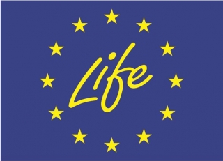 invaseplife