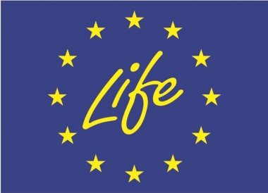 invaseplife