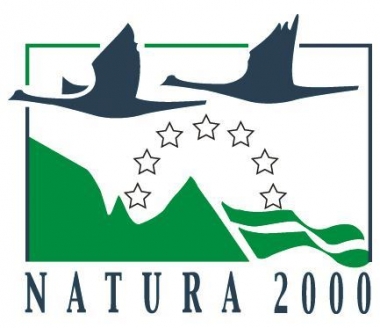 invasepnatura