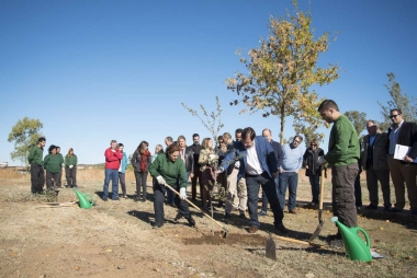 plantacion