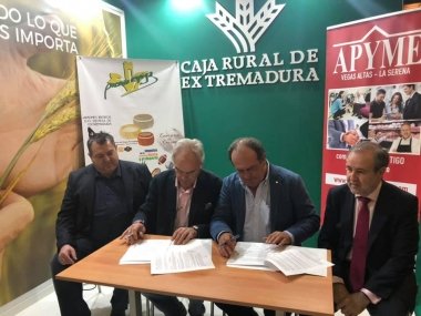 apyme y caja rural