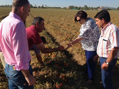 la consejera de agricultura visita las Vegas Altas