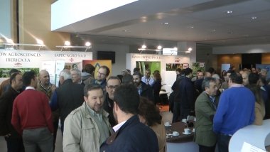 congreso del arroz Don Benito
