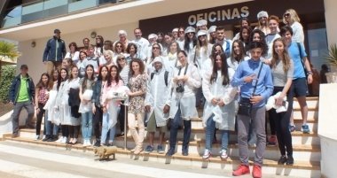 erasmus en tany