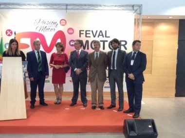 feval motor