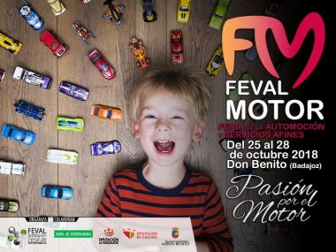 feval motor